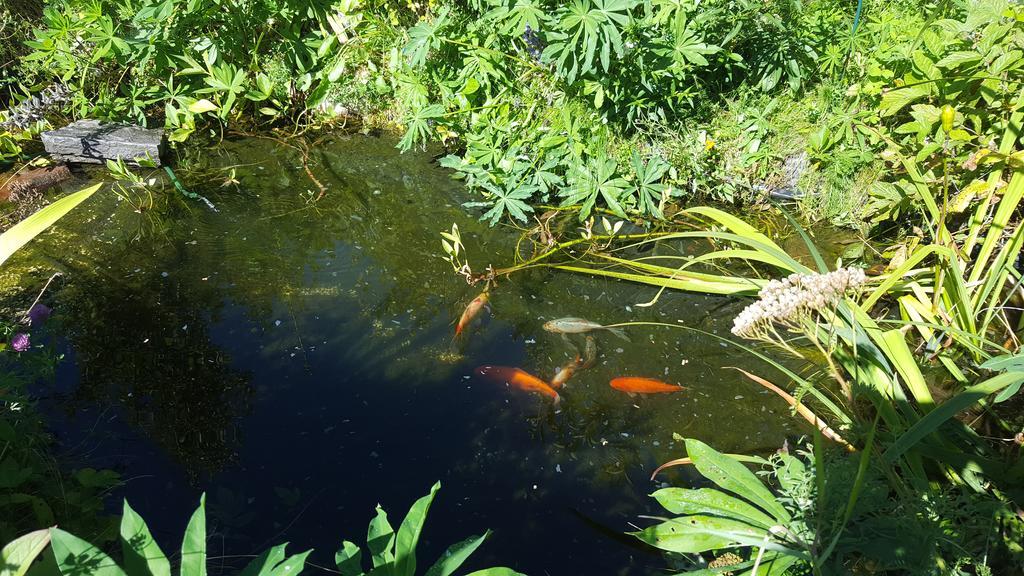 Ferienwohnungen Trinker - Lungau Karte Inklusive Ramingstein Buitenkant foto